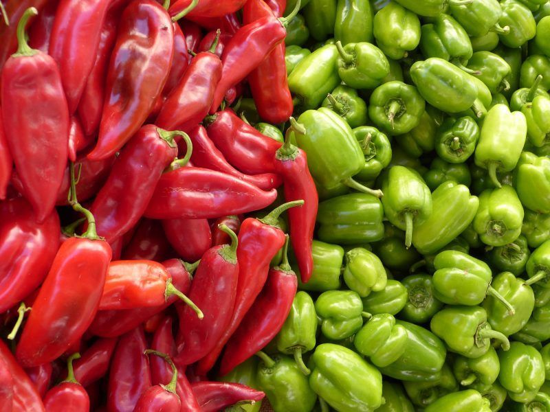 variedad pimiento