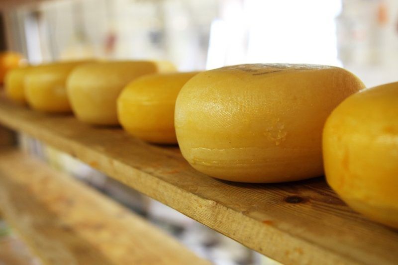 Los mejores quesos de Cantabria